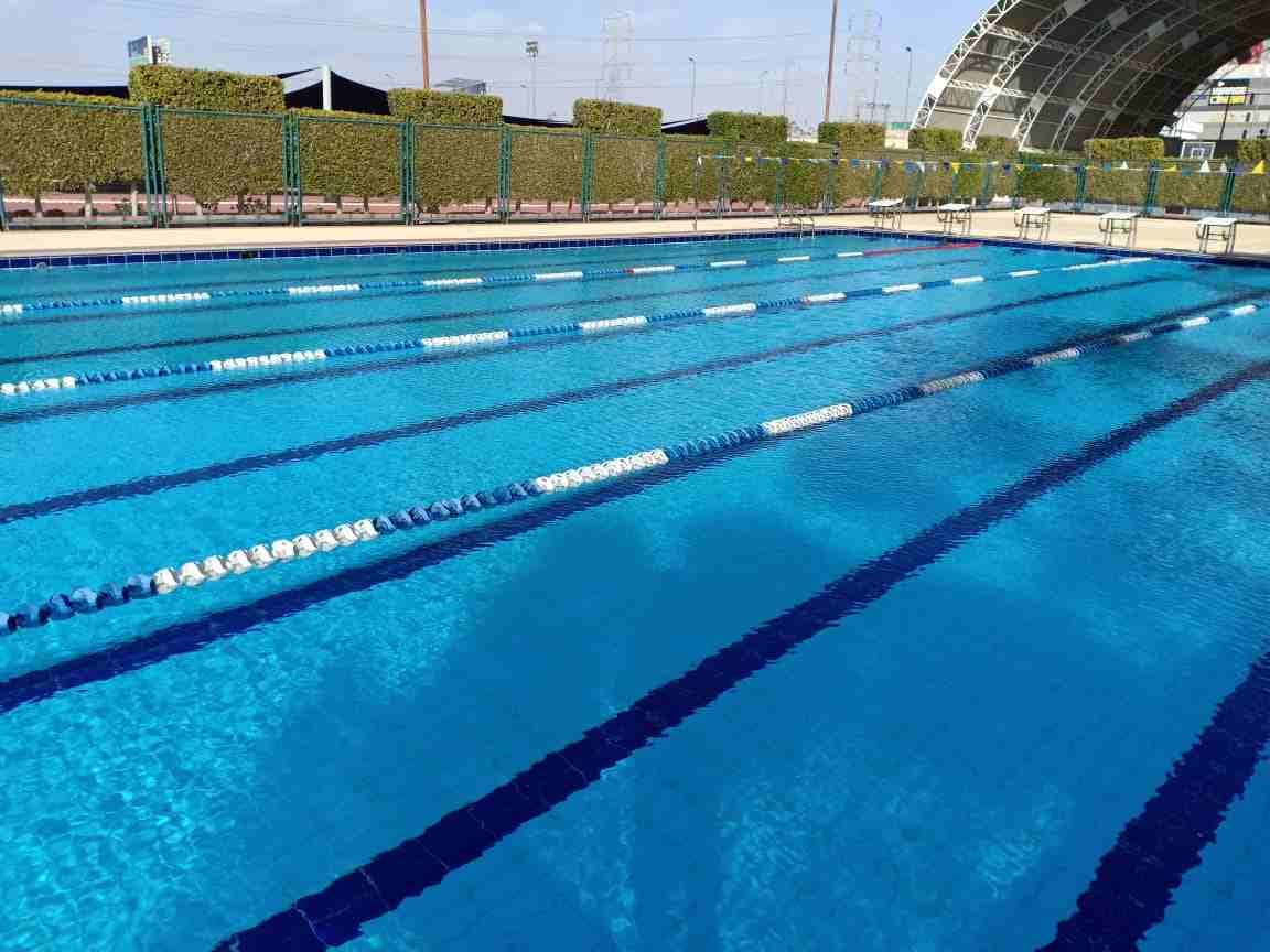 صيانة حمامات السباحه
لا تنسَ أنك شاهدت هذا الإعلان في عنكبوت
نحن متخصصون في انشاء وصيانه وتوريد م...